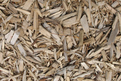 biomass boilers Ringwood